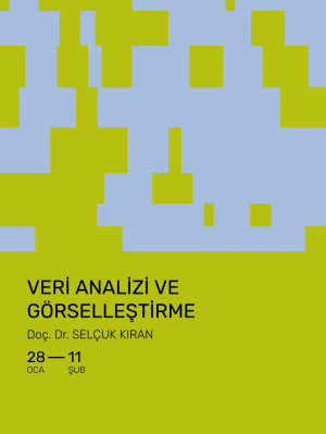 Veri Analizi ve Görselleştirme