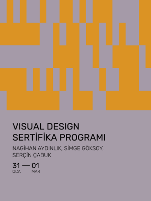 Visual Design Sertifika Programı