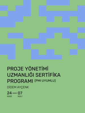 Proje Yönetimi Uzmanlığı Sertifika Programı (PMI Uyumlu)