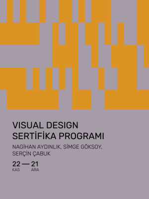 Visual Design Sertifika Programı
